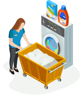 Professional Laundry Cleaning